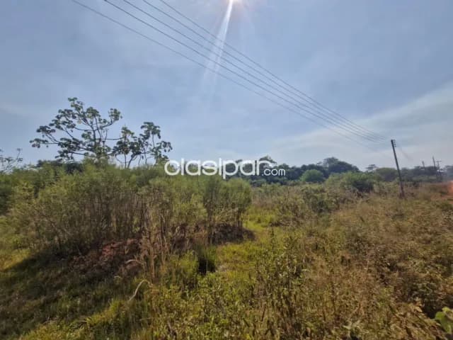 9 hectáreas en tobati – 1ro de marzo ideal para loteamiento o casa quinta cod:v0223, foto 2