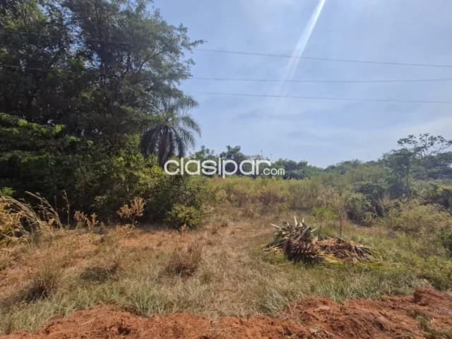 9 hectáreas en tobati – 1ro de marzo ideal para loteamiento o casa quinta cod:v0223, foto 3