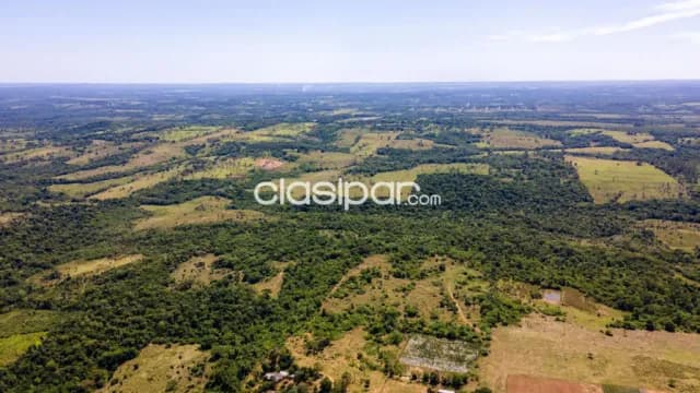 Campo Agrícola/Ganadero en RI3 Corrales - 125 Ha — foto 2