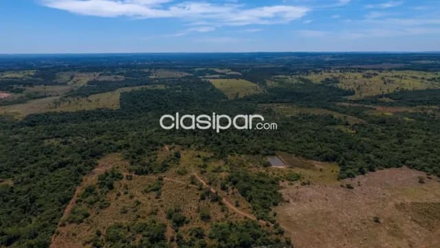 Campo Agrícola/Ganadero en RI3 Corrales - 125 Ha — foto 3