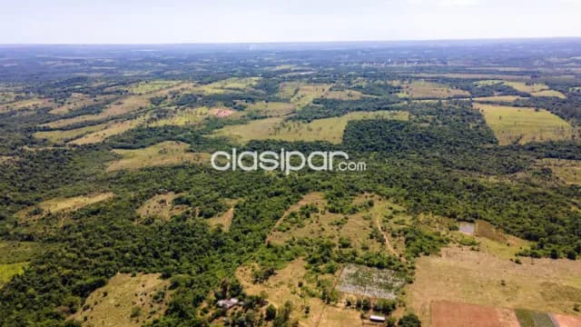 Campo Agrícola/Ganadero en RI3 Corrales - 125 Ha — foto 5