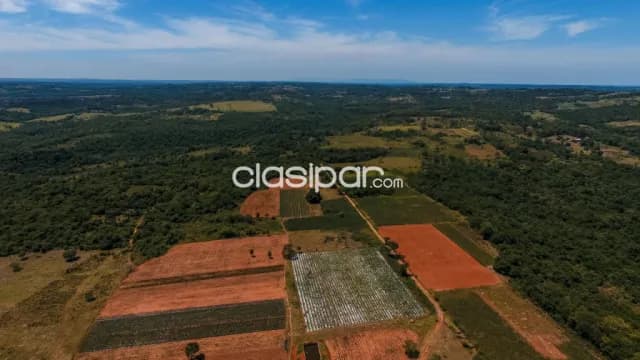 Campo Agrícola/Ganadero en RI3 Corrales - 125 Ha — foto 4