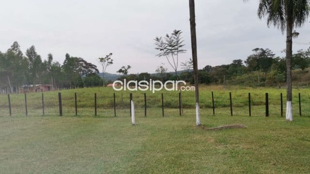 Rancho formado en Isla Pucú sobre Ruta - 16 Ha