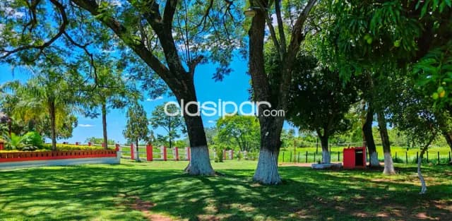 Rancho formado en Isla Pucú sobre Ruta - 16 Ha — foto 5