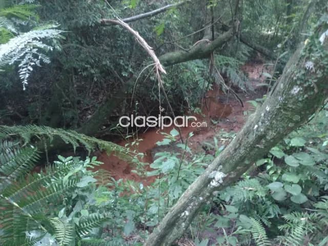 propiedad de 1,7 Hectareas en Acahay, foto 5
