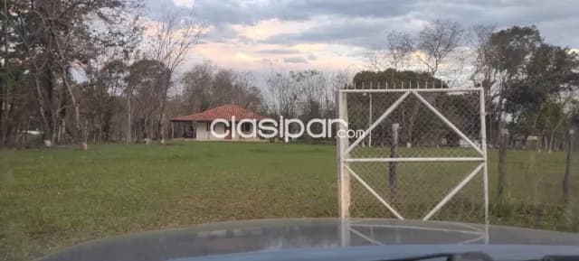 propiedad en Curuguaty, sobre ruta — foto 3