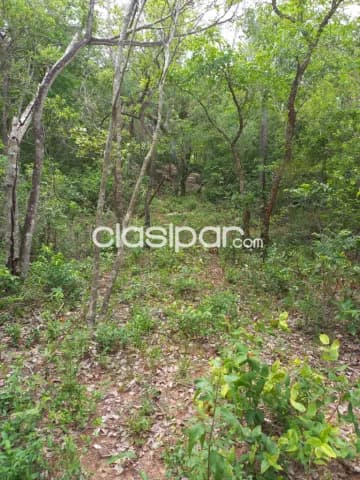 2,6 ha.campo en nueva colombia-bºsan miguel, foto 4