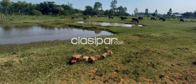 Excelente oportunidad de invrsion en isla valle, aregua — foto 5