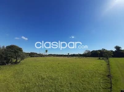 Campo Ganadero en San Juan Bautista - 47 Ha, foto 2