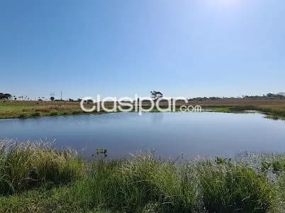 Campo Ganadero en San Juan Bautista - 47 Ha, foto 4