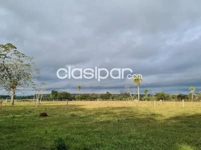 Campo Ganadero en San Juan Bautista - 47 Ha, foto 5