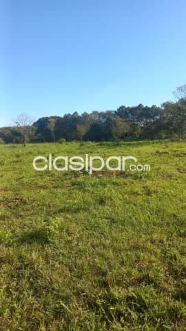 3 hectáreas de propiedad sobre ruta internacional km 28 minga guazú !!, foto 3