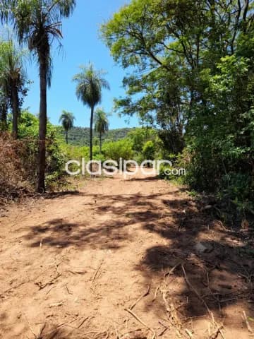 Terreno en caacupé fracción las estrellas a metros del arroyo cod v0326 — foto 4