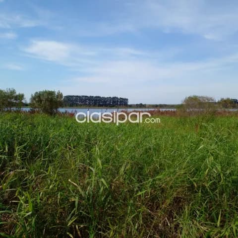 59 has. s/el Lago en Yguazu – Alto Parana, foto 5