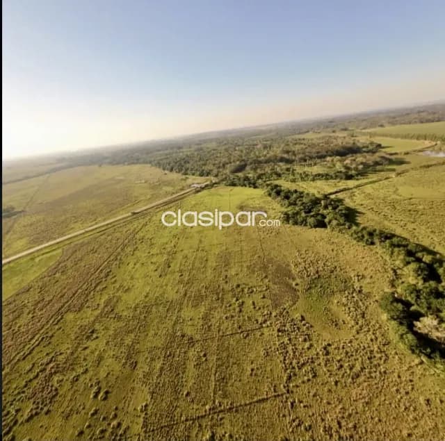 Campo Agrícola/Ganadero en Mbocayaty sobre Ruta - 95 Ha — foto 4