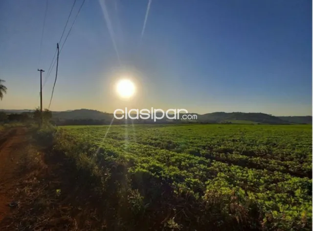 Campo Agrícola/Ganadero en General Morinigo- 48 Ha — foto 2