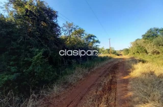 Campo Agrícola/Ganadero en General Morinigo- 48 Ha — foto 4