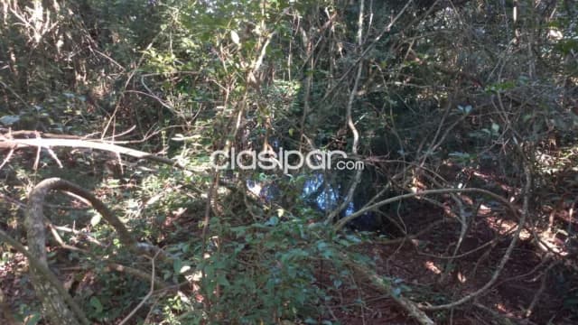 Campo Agrícola/Ganadero en General Morinigo- 48 Ha — foto 5