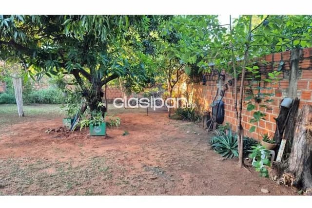 casa con amplio terreno en Luque — foto 5