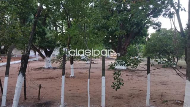Amplio terreno en Mariano Roque Alonso, foto 4