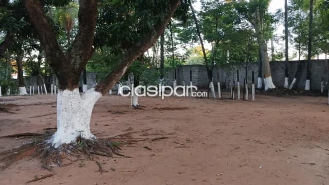 Amplio terreno en Mariano Roque Alonso, foto 5