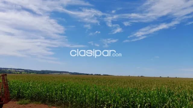 Campo Agrícola Mecanizado en Jesús - 200 Ha — foto 2