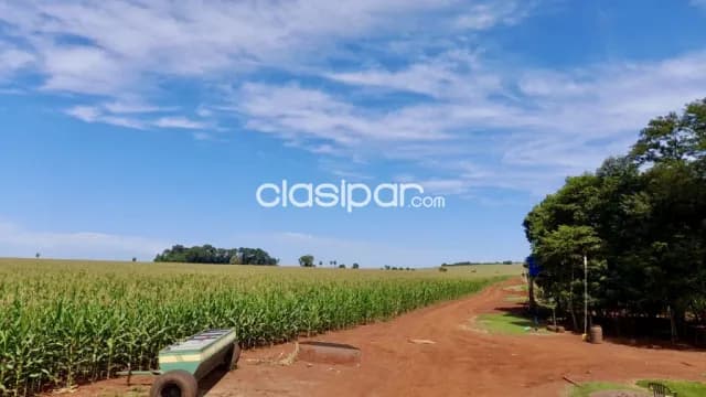 Campo Agrícola Mecanizado en Jesús - 200 Ha — foto 4