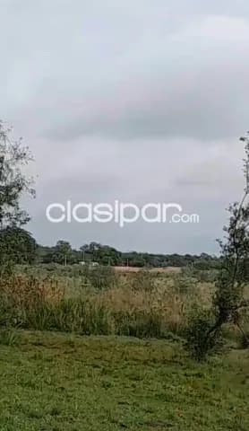 Acahay, la colemena: 55 has, zona alta, prox. Ruta, desarrollo variado, p/ granja, criader — foto 3