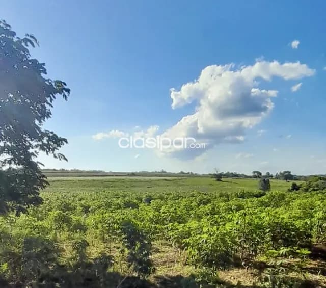 Terreno Agrícola/Ganadero en Encarnación - 10 Ha — foto 2
