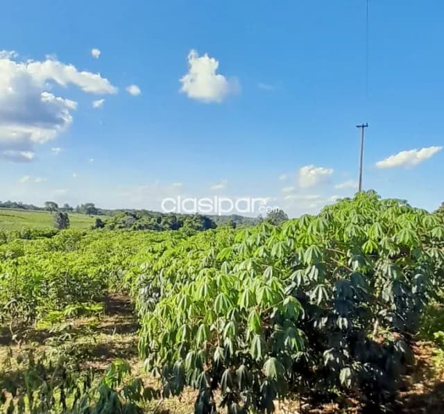 Terreno Agrícola/Ganadero en Encarnación - 10 Ha — foto 3