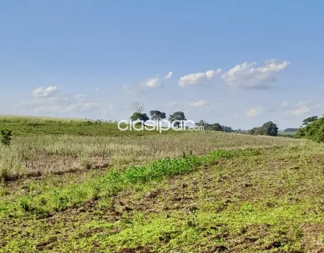Terreno Agrícola/Ganadero en Encarnación - 10 Ha — foto 5