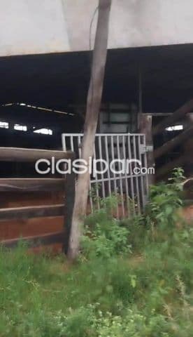 Acahay / quiindy: Inmejorables 42 has trabajadas s/ asfalto, deposito vivienda, estructura, foto 1