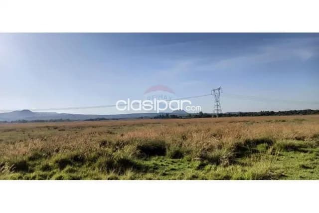 Acahay, agropecuario: 50 maravillosas has, p/ uso agro-granero, bosques, arroyos, alambrad, foto 4