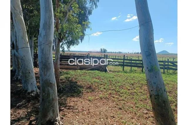 Acahay, agropecuario: 50 maravillosas has, p/ uso agro-granero, bosques, arroyos, alambrad, foto 5