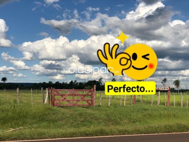 Ybycui Paraguari 52 Hect Inigualables Estancia Formada Super Infraestructura Pastura, foto 1