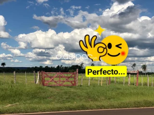 Ybycui Paraguari 52 Hect Inigualables Estancia Formada Super Infraestructura Pastura, foto 2