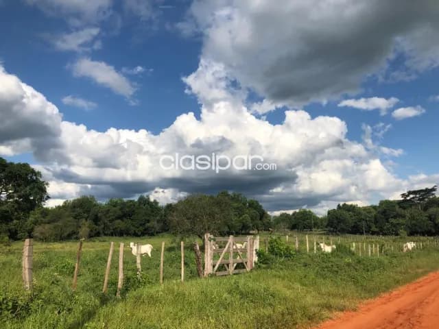 Ybycui Paraguari 52 Hect Inigualables Estancia Formada Super Infraestructura Pastura, foto 5