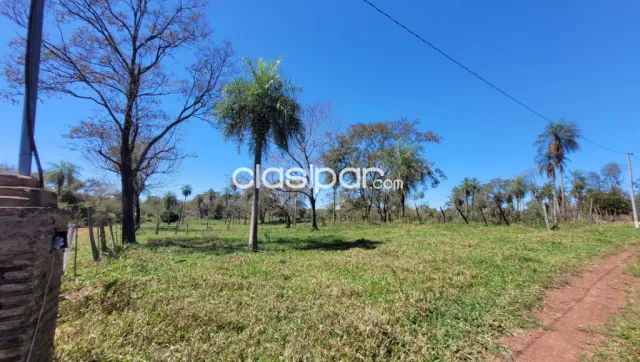 9 ha. De campo en eusebio ayala — foto 4