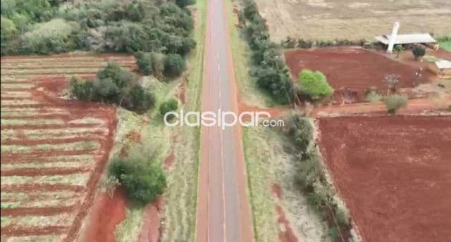 90 hectareas sobre ruta 7 - alto paraná