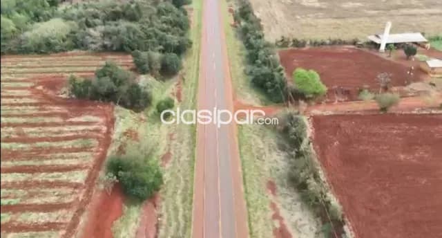 90 hectareas sobre ruta 7 - alto paraná, foto 2