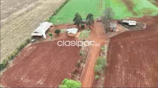 90 hectareas sobre ruta 7 - alto paraná, foto 4