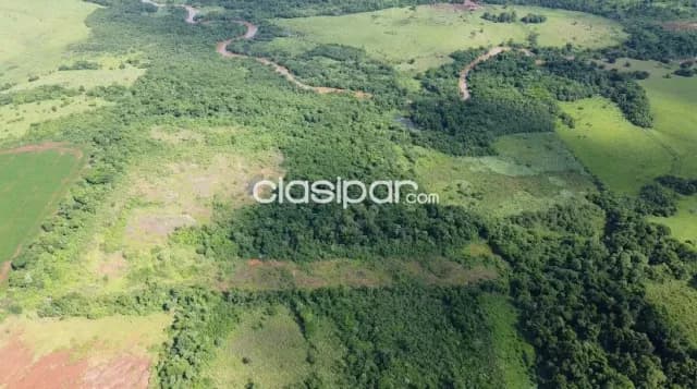 Terreno Agrícola/Ganadero en Encarnación - 20 Ha — foto 3