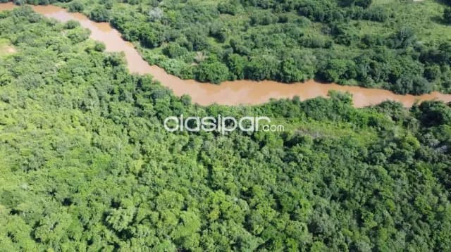 Terreno Agrícola/Ganadero en Encarnación - 20 Ha — foto 5