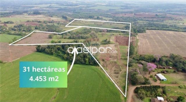 Campo Agrícola/Ganadero en Encarnación - 31 Ha