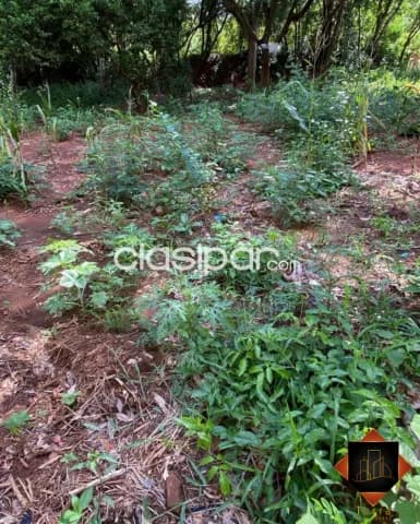 De terreno en Ñemby, cañadita, foto 2