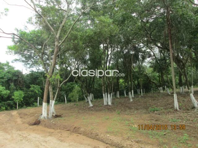en San Bernardino hermoso y arbolada Oferta zona alta, por este mes, aproveche — foto 4