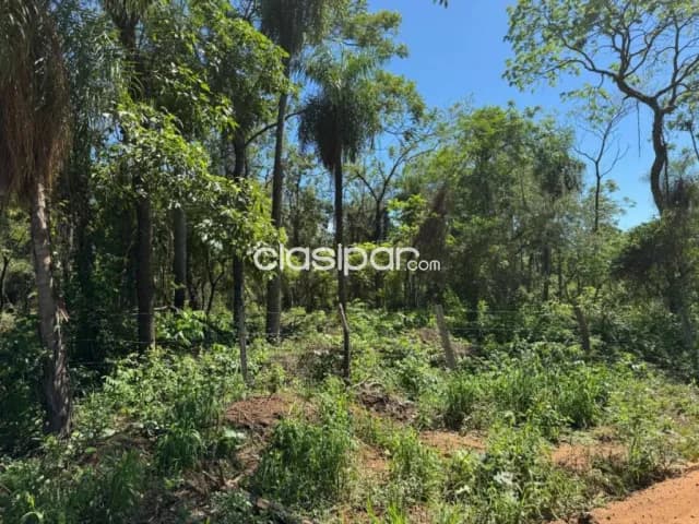 En venta Terreno en Ciervo Cua San Bernardino ID 34586, foto 4