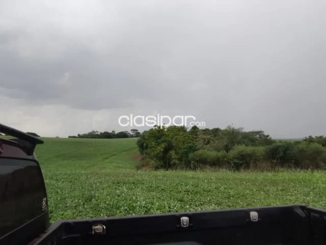 Campo Agrícola Mecanizado en Alto Verá - 40 Ha, foto 3