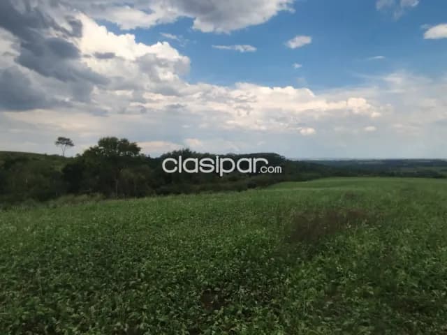 Campo Agrícola Mecanizado en Alto Verá - 40 Ha, foto 4