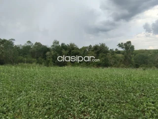 Campo Agrícola Mecanizado en Alto Verá - 40 Ha, foto 5